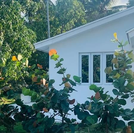 The Cay House Hotel Mangrove Cay Exterior foto